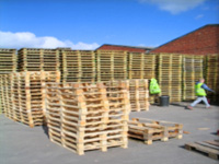 Used Pallets – Brought & Sold